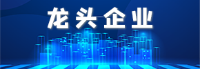 龍頭企業(yè)
